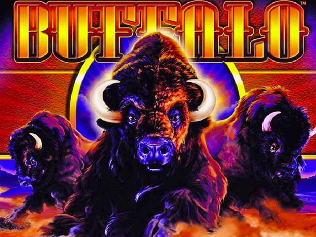 aristocrat | Buffalo